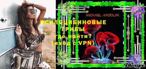 PSILOCYBIN Алзамай