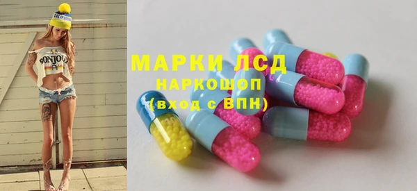 PSILOCYBIN Алзамай