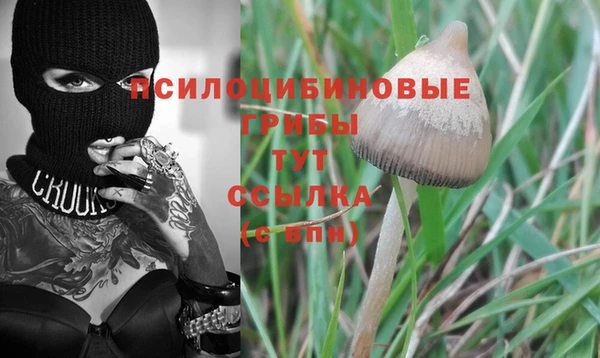 PSILOCYBIN Алзамай