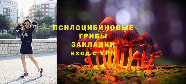 индика Алексеевка